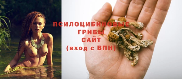 мдпв Баксан