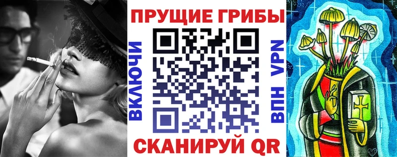 Галлюциногенные грибы Magic Shrooms  darknet телеграм  Рудня  купить наркоту 
